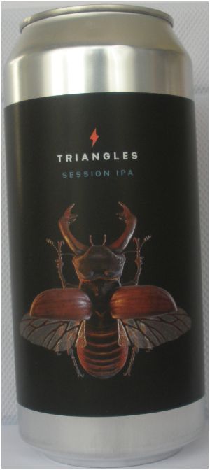 TRIANGLES - GARAGE BEER