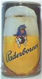 PADERBORNER